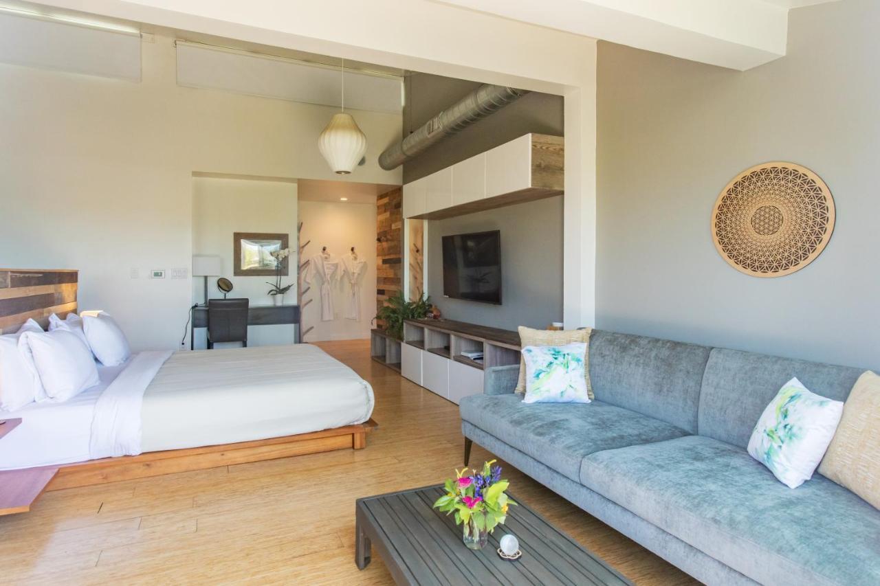Inn At Moonlight Beach Encinitas Dış mekan fotoğraf