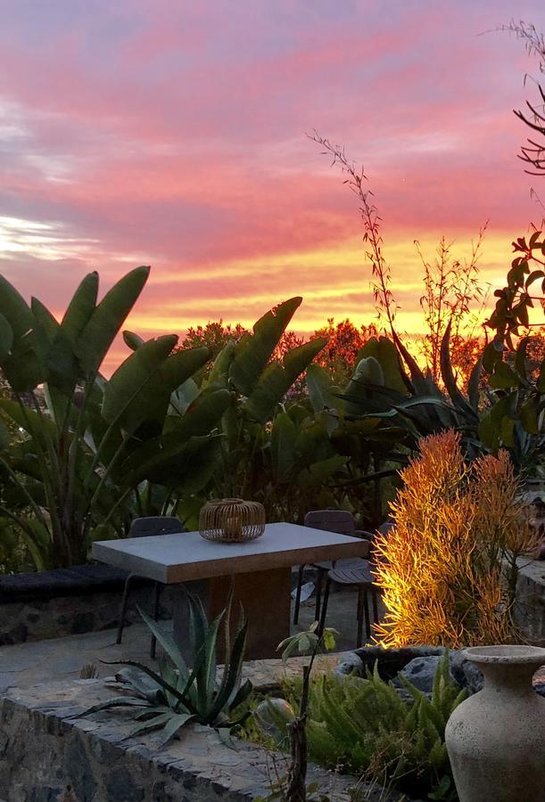Inn At Moonlight Beach Encinitas Dış mekan fotoğraf